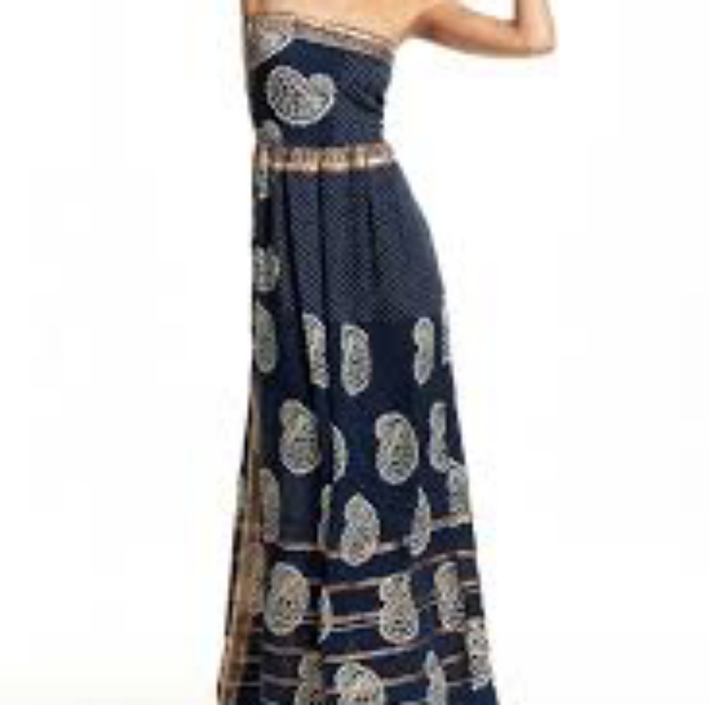 Calypso St. Barth Rosana strapless silk dress